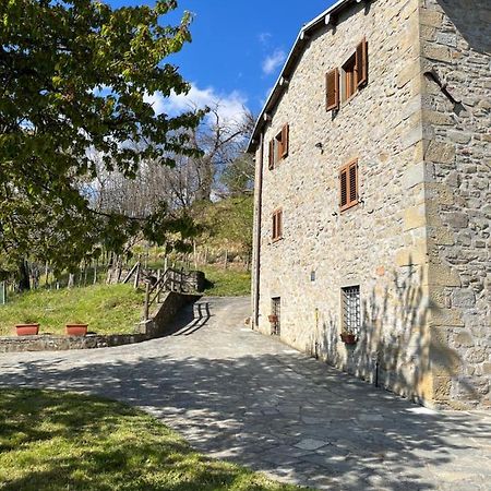 Апартаменты Il Casale Di Rolando Кастильоне-ди-Гарфаньяна Экстерьер фото